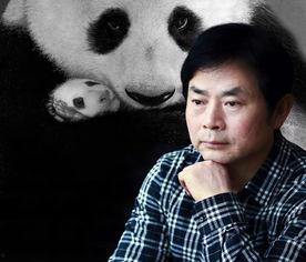 新闻爆料熊猫哥事件真相,真相背后的曲折与反思